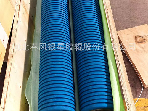 湖南工业丁青胶辊